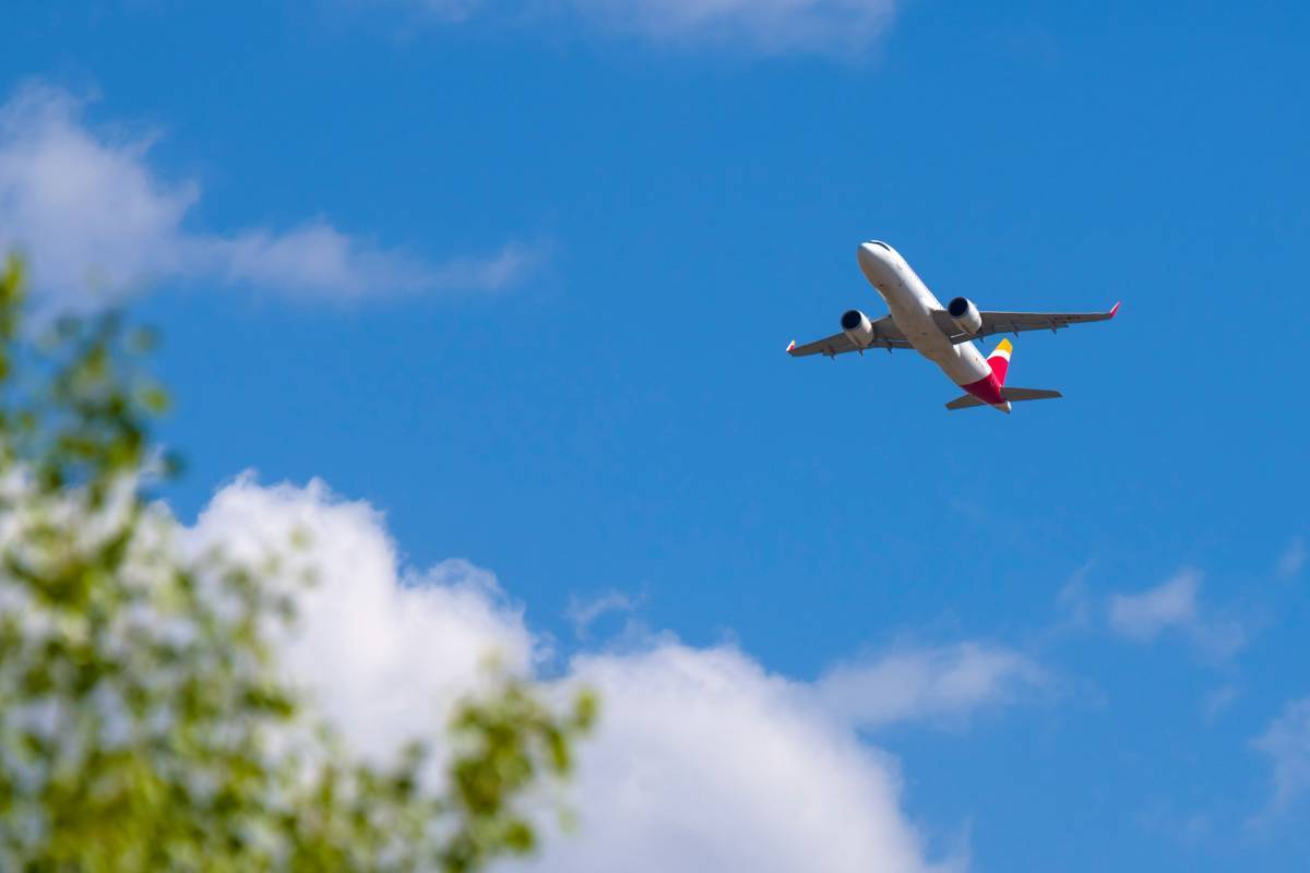 Mueren dos personas al estrellarse una avioneta en Florida
