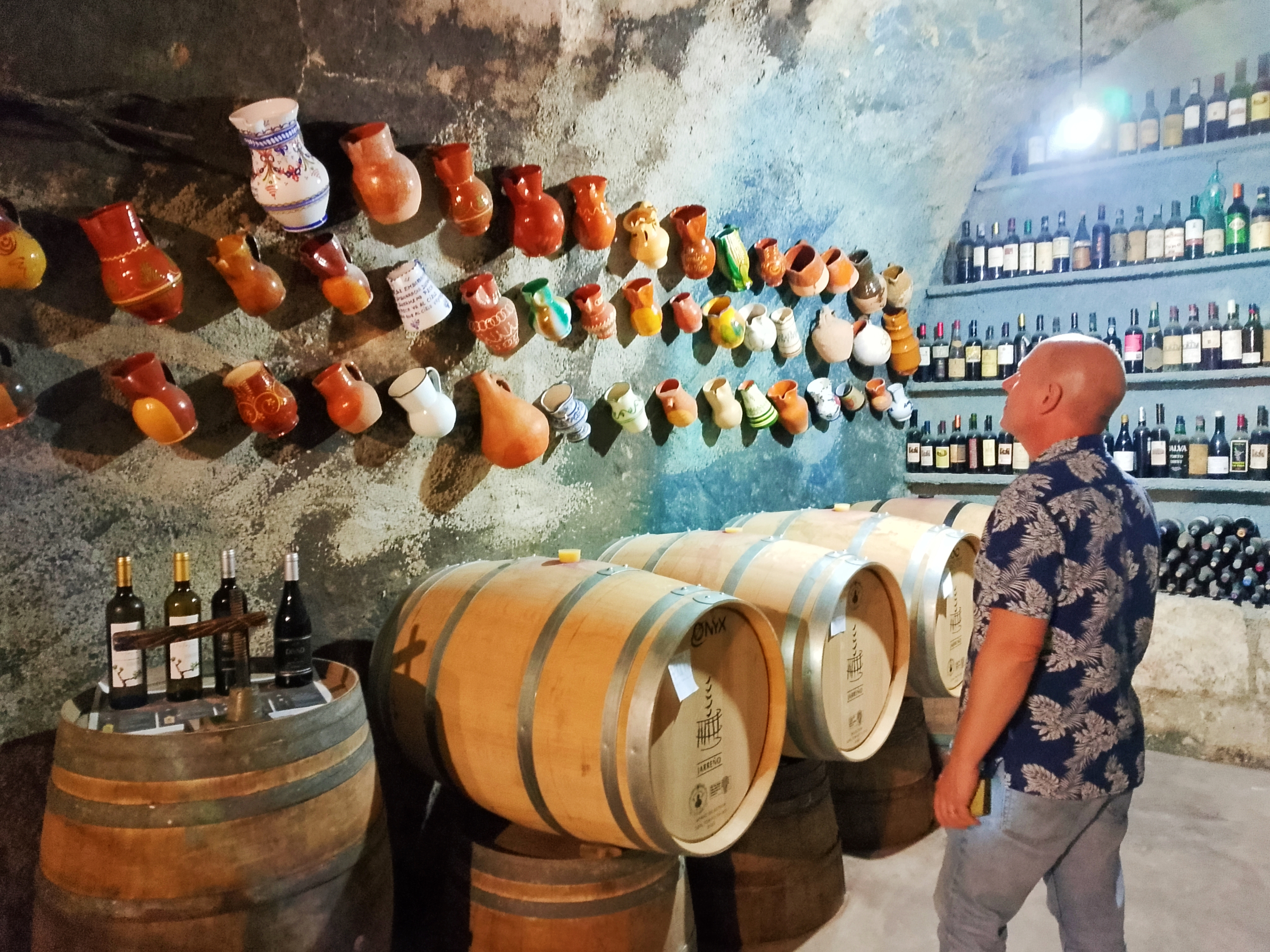 Ruta del Vino de Zamora: una oda rural a Baco entre castillos, El Cid y quesos con sabor a tempranillo