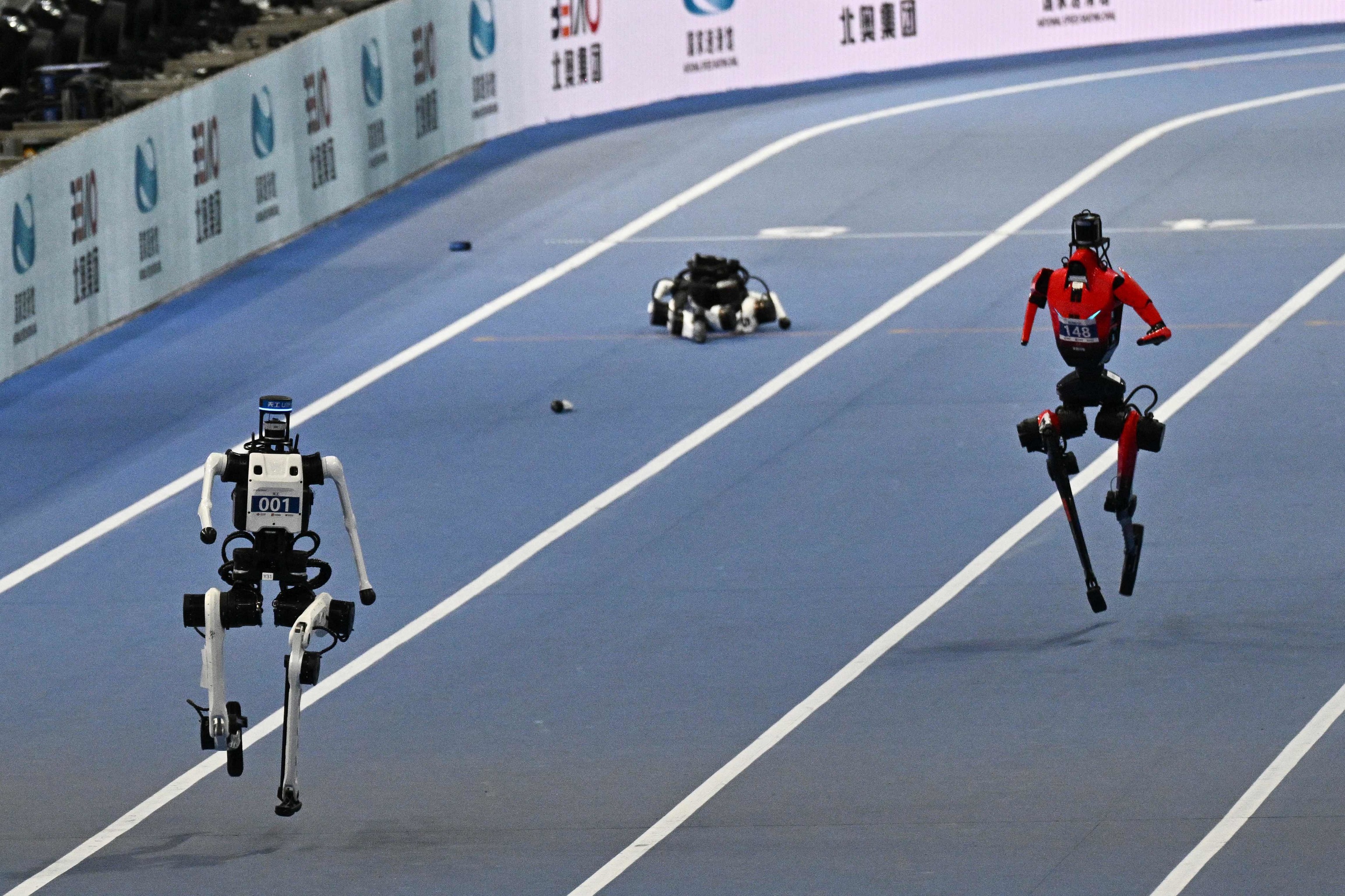 Nada hace ahora mismo más felices a los humanos que ver cómo fracasan los robots