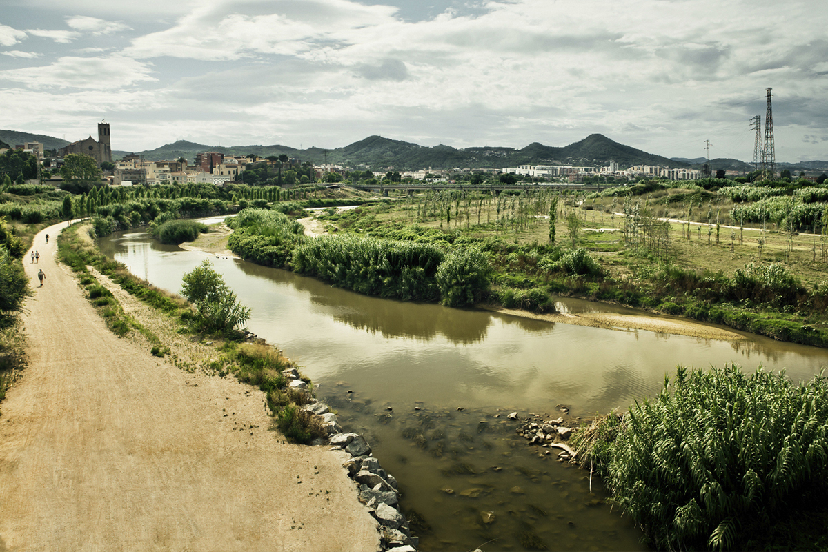 De vertederos a oasis naturales, el imparable renacer de los ríos urbanos: "Durante décadas fueron cloacas a cielo abierto, pero serán los nuevos corredores ecológicos"