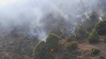 Declarado un nuevo incendio en la Sierra Oeste de Madrid, en Santa María de la Alameda