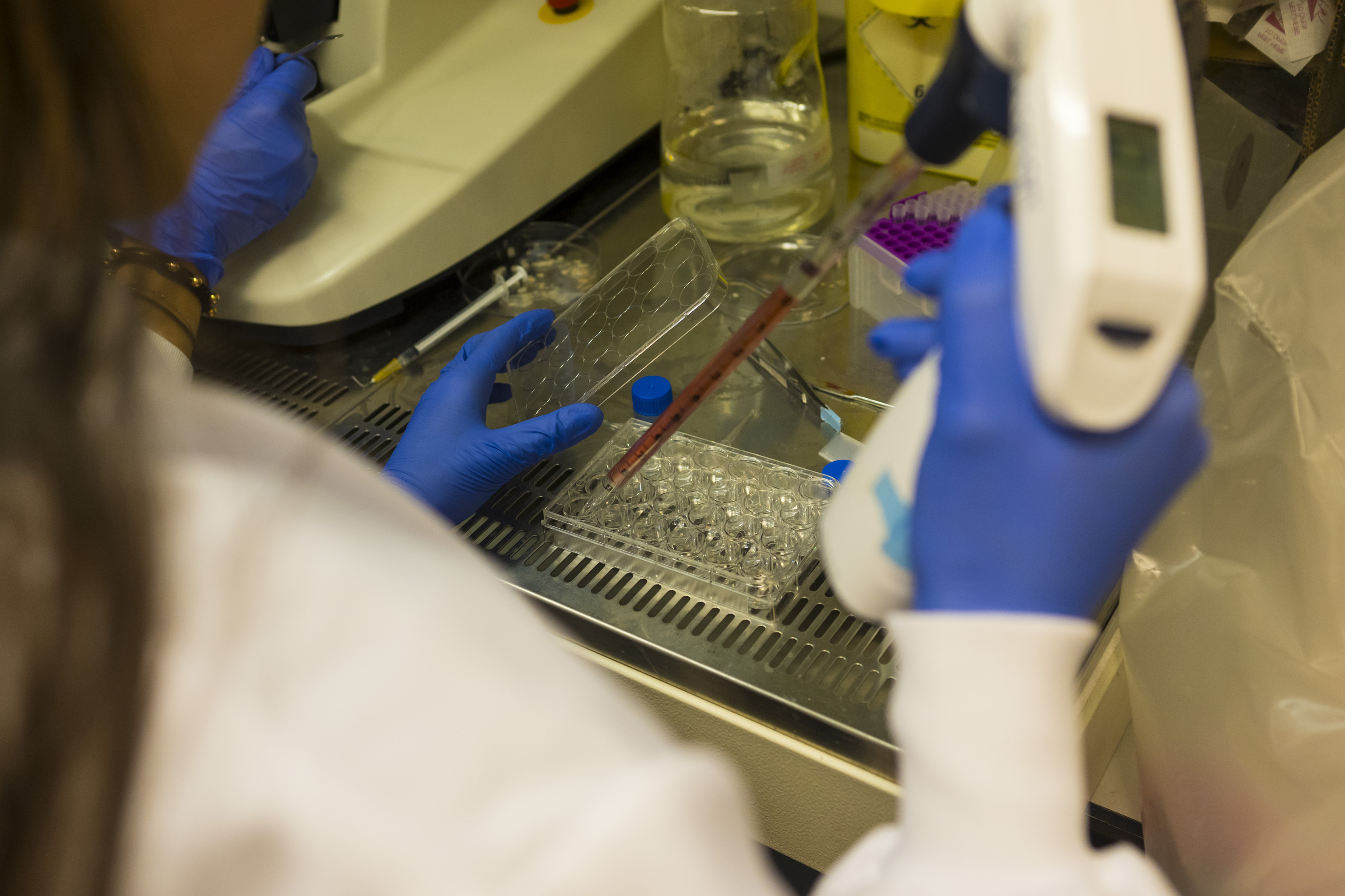 La ciencia europea reclama una inversión ambiciosa para la investigación: "Las decisiones de ahora determinan el futuro de Europa. Estamos perdiendo con China y EEUU"