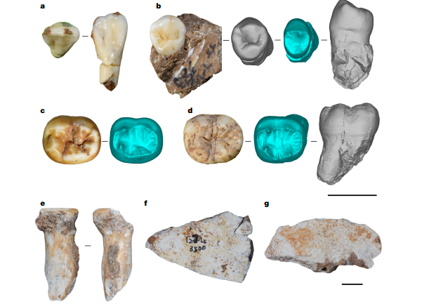 Una cueva de China reescribe la historia de los misteriosos denisovanos: cazaban grandes animales y se parecían más a nosotros de lo que creíamos