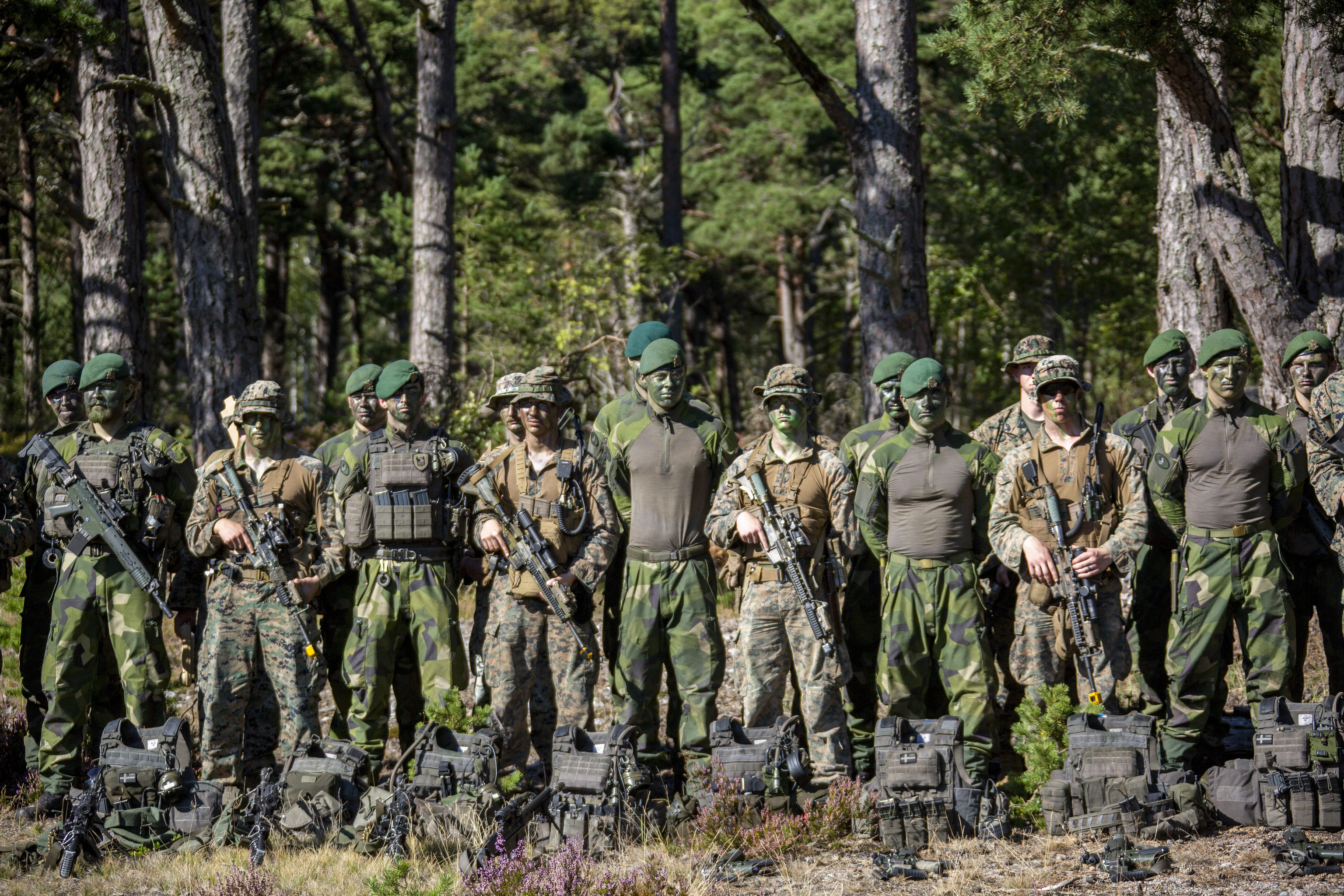 Suecia, el guerrero reacio que despierta en el Báltico