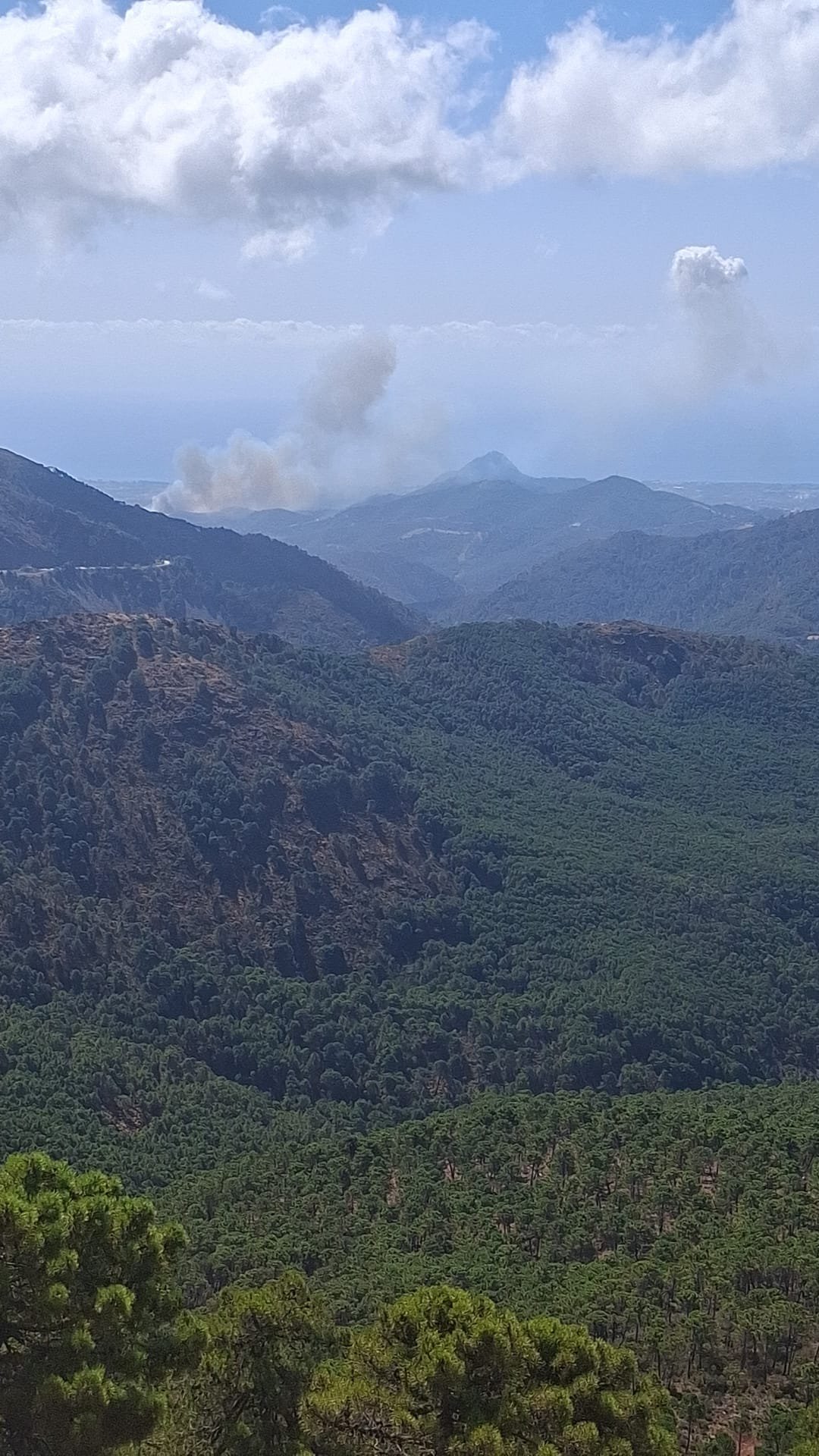 Es-Alert por el incendio de Benahavís: Desalojada una urbanización y confinados el resto de los vecinos