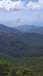 Es-Alert por el incendio de Benahavís: Desalojada una urbanización y confinados el resto de los vecinos