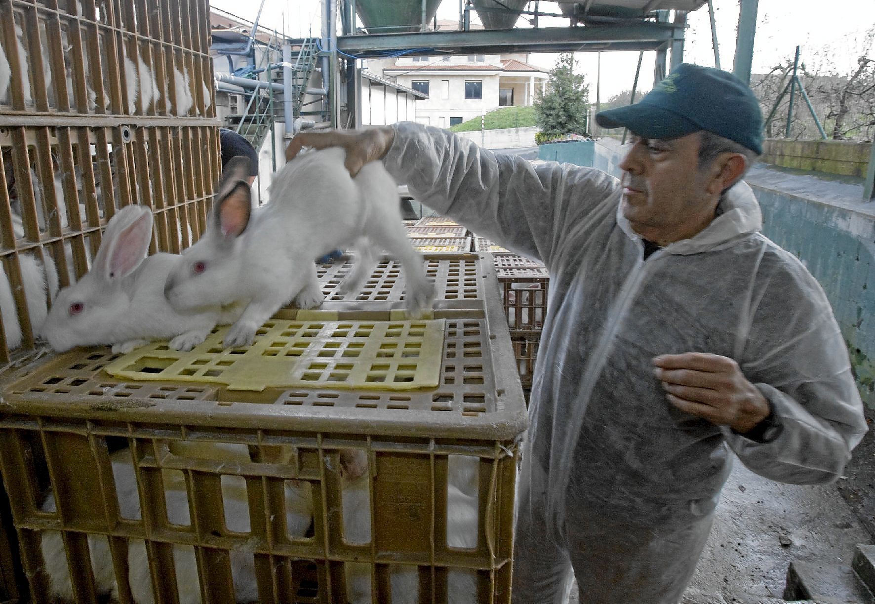La guerra de la carne amenaza con desatar una huelga general en noviembre ante la falta de acuerdo
