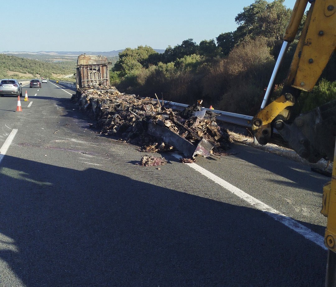 Las 25 toneladas de pulpo podrido que apestaron la A-381 de Cádiz durante 26 días tras el abandono de un camión marroquí