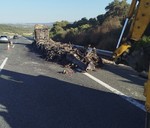 Las 25 toneladas de pulpo podrido que apestaron la A-381 de Cádiz durante 26 días tras el abandono de un camión marroquí