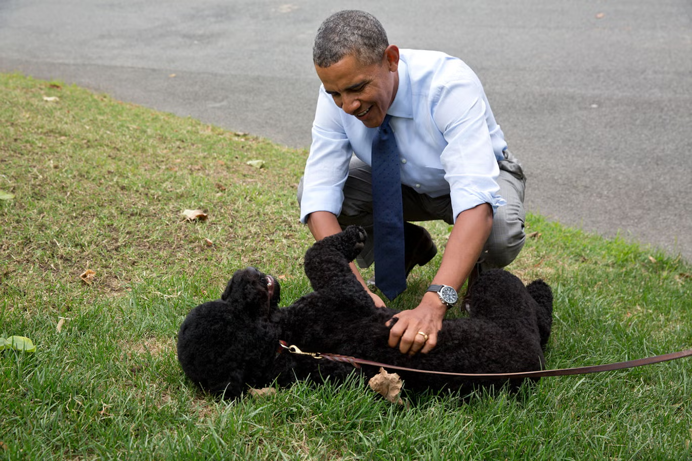 Muere Sunny, la perra de los Obama que conquistó la Casa Blanca, a los 13 años