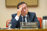 Transparencia ordena a Exteriores informar de las personas nacionalizadas por las leyes de memoria de 2007 y 2022