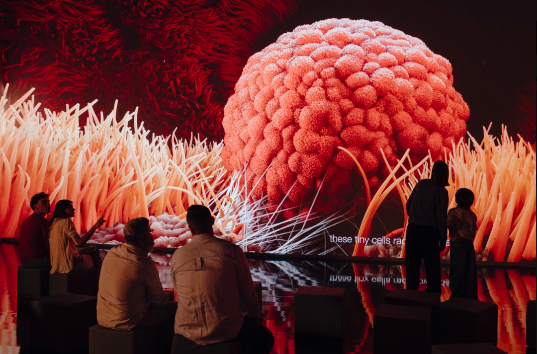 El cuerpo humano como nunca antes lo vimos: un viaje 'real' por las arterias a bordo de una nanocápsula, una expedición por los rincones del cerebro...