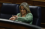 El Congreso reprueba a Milagros Tolón, con los votos del PP, Vox y Junts, por los "nefastos" resultados del informe PISA y el inicio del curso en Ceuta