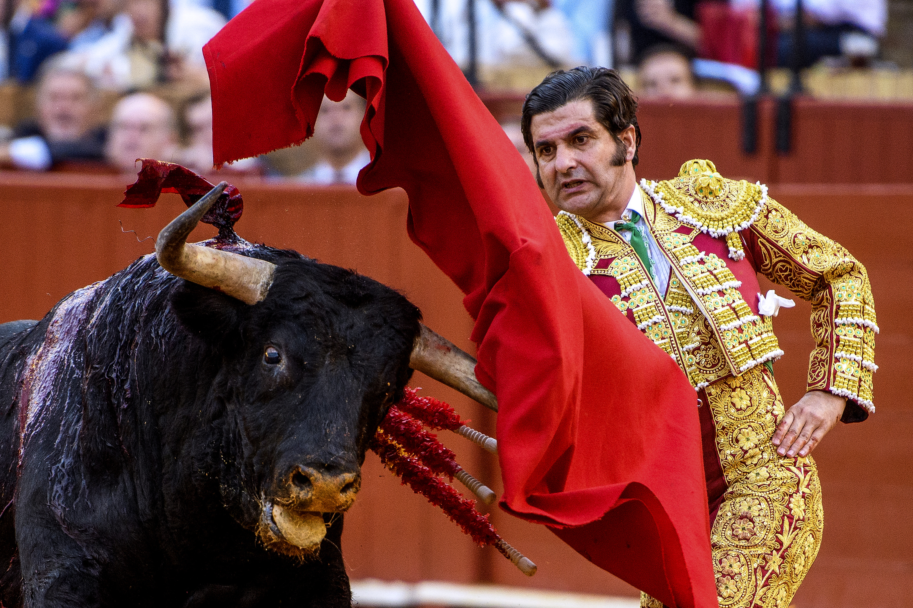 Preocupación tras la debacle de Garcigrande y Morante de la Puebla en Sevilla