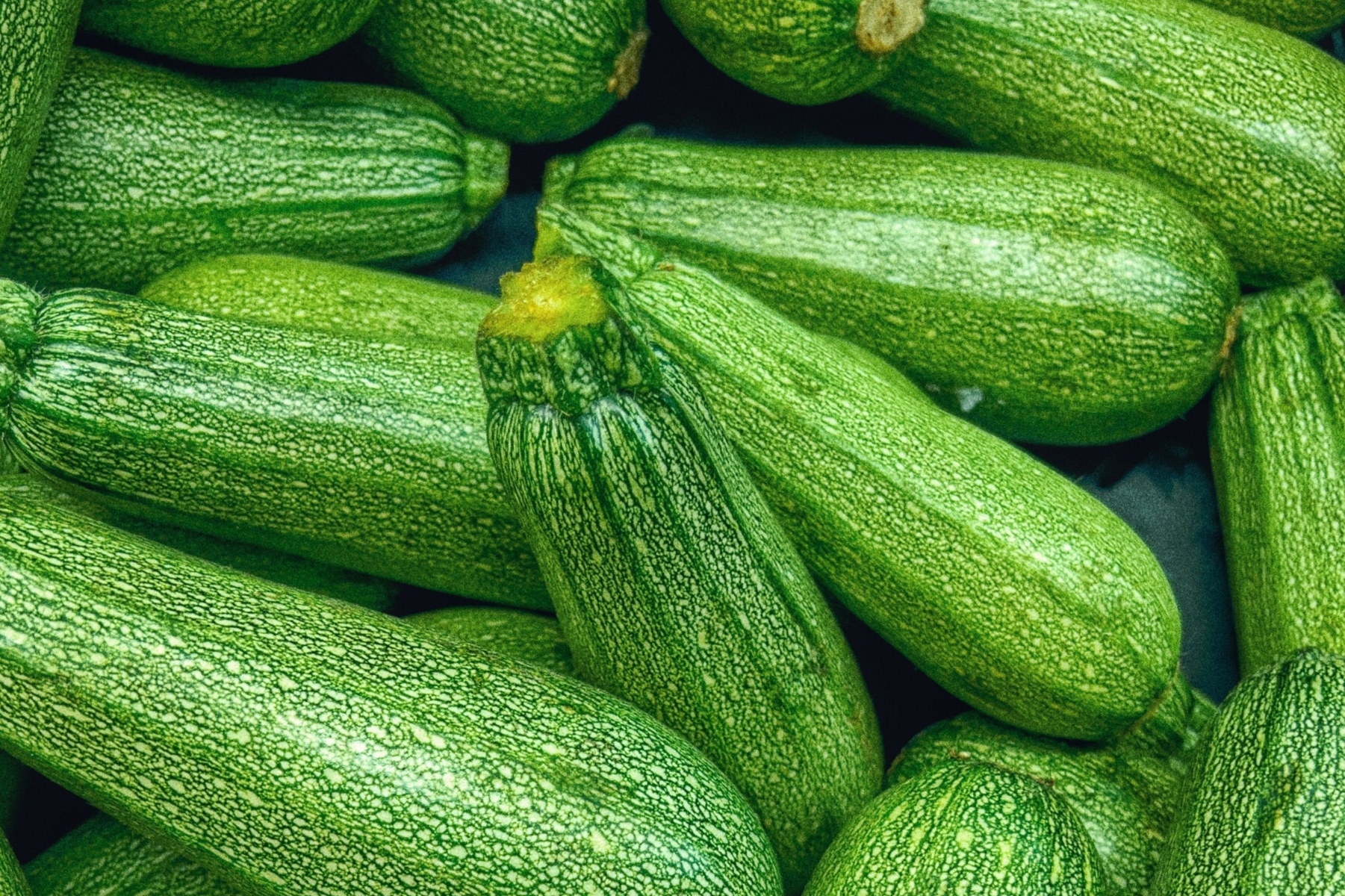 Calabacín: propiedades, beneficios y calorías de esta verdura