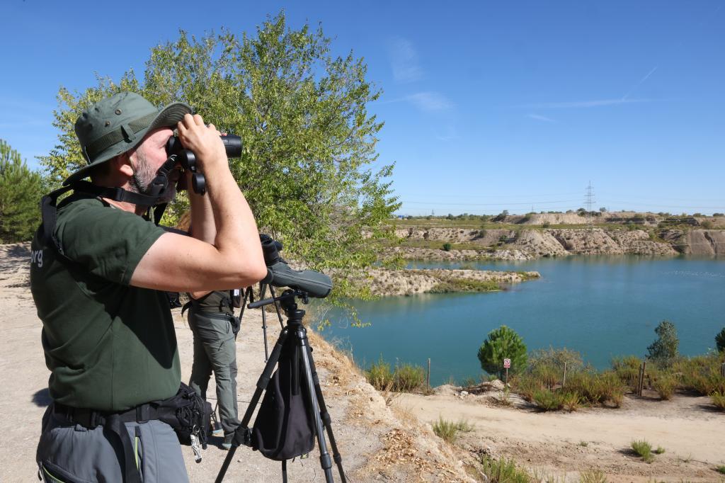 El este de Madrid reclama su propia Casa de Campo: un pulmón 'verde' en torno a las Lagunas de Ambroz que abarque hasta 700 hectáreas de suelo