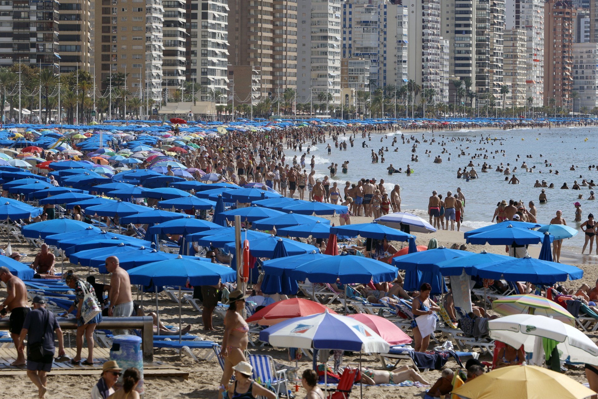 El Mediterráneo ya sufre olas de calor de más de 30 días y hasta 4,6 ºC por encima de la media