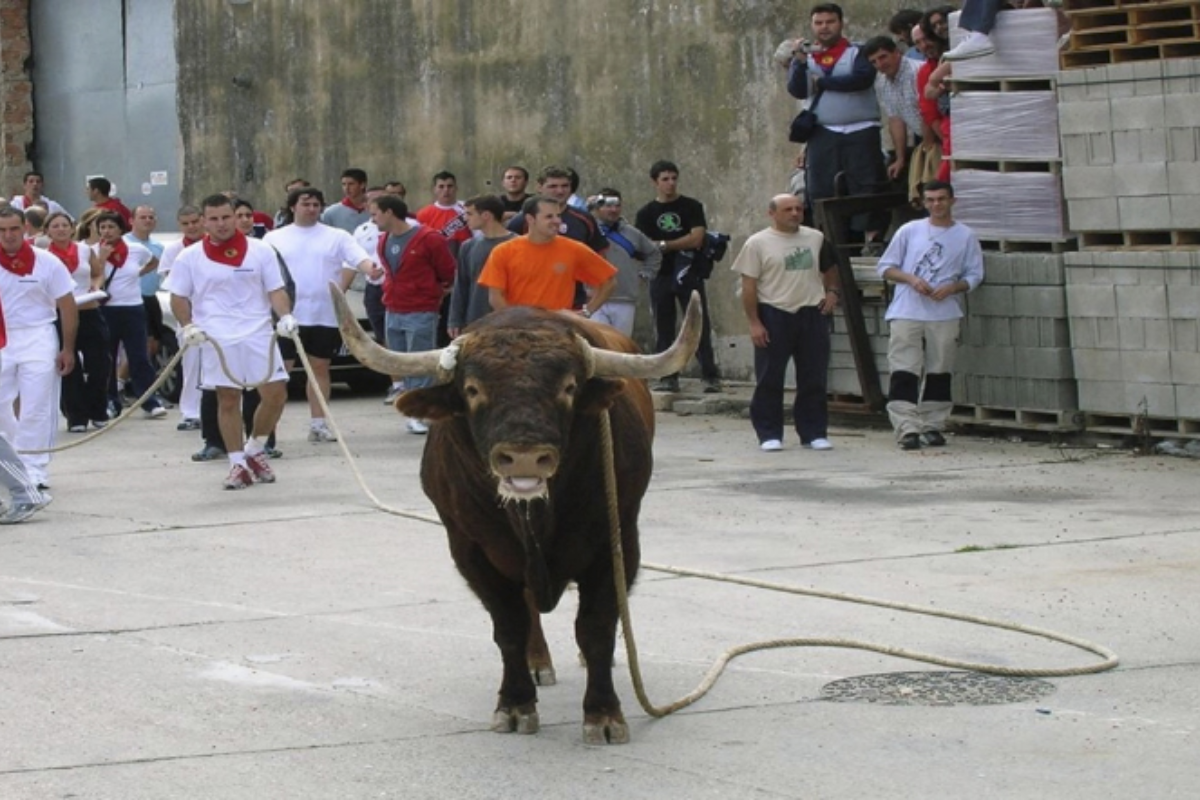 Muere una joven que resultó herida en el festejo del toro con soga de Lodosa (Navarra)