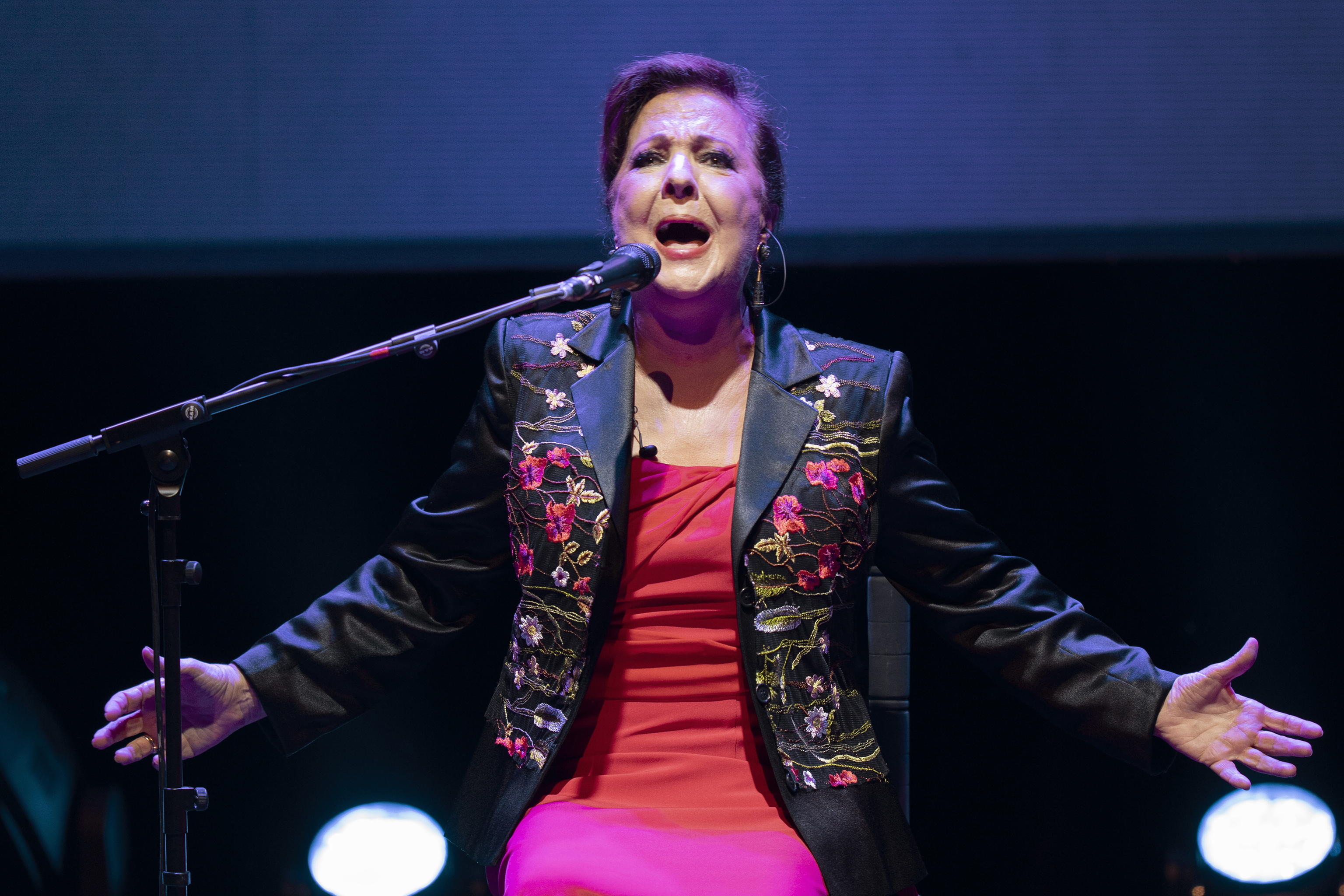 Honores a Carmen Linares en el treinta aniversario de su obra 'Antología de la mujer'