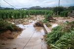 La Junta declara la situación 1 de emergencia en Ávila por la situación de embalses