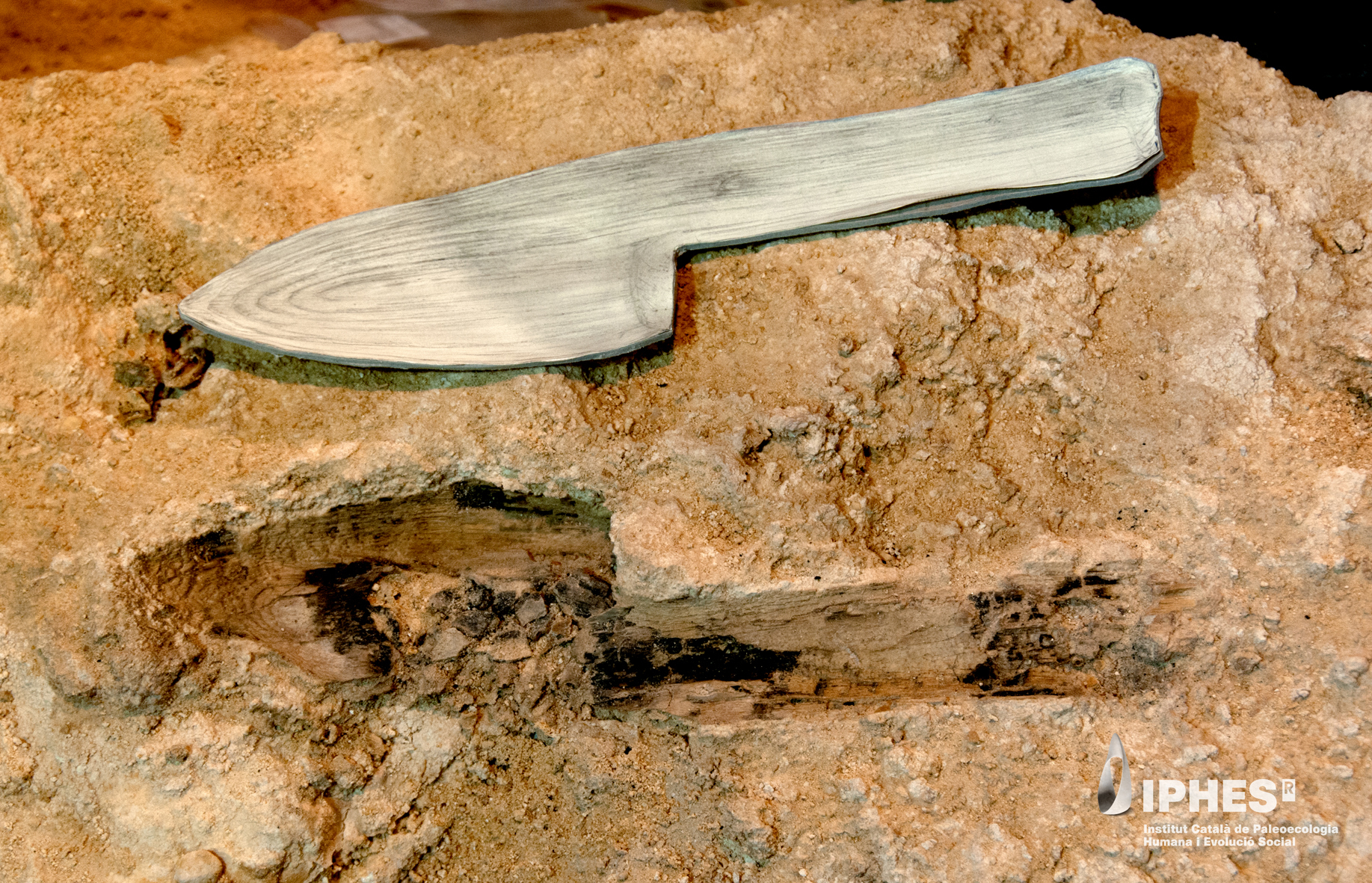 Carpinteros neandertales: un estudio liderado por españoles demuestra que esta especie humana trabajaba con habilidad la madera