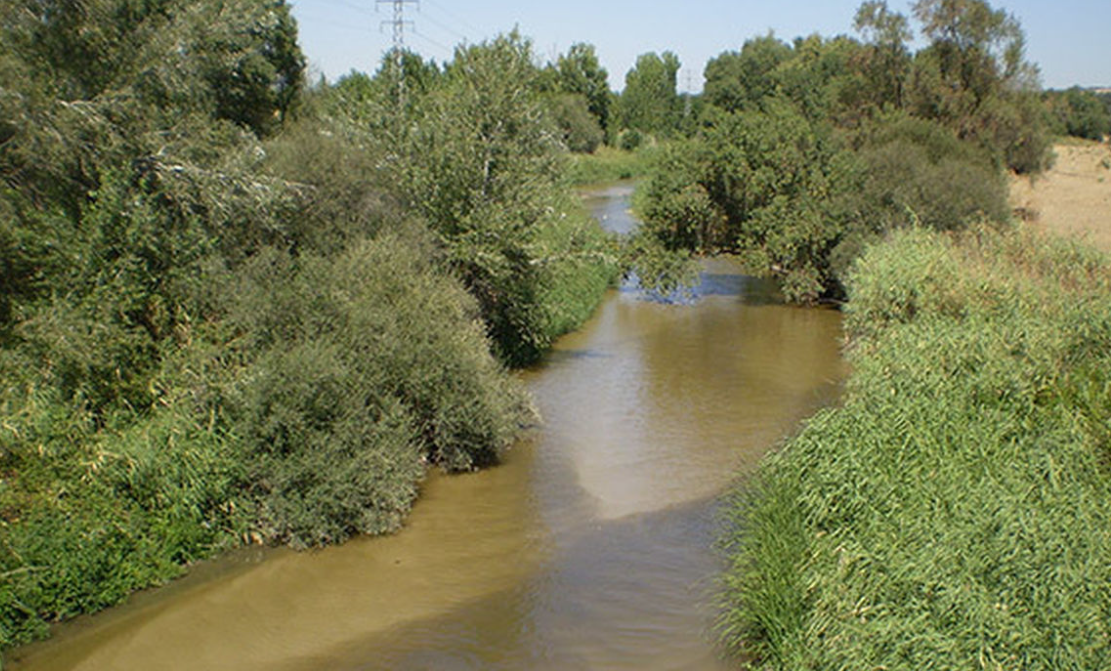 Un juez cita como investigados a alcaldes y ex regidores de Móstoles, Arroyomolinos y Navalcarnero por la contaminación del río Guadarrama