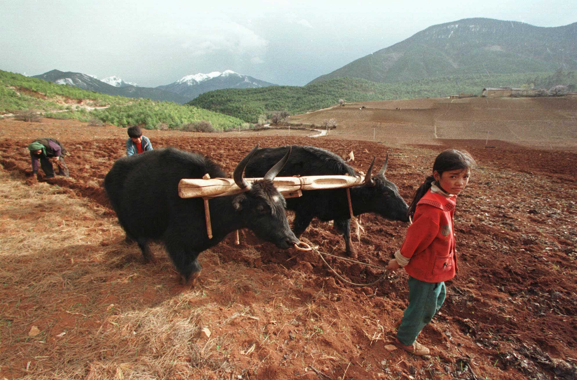 'Vivir la tierra' durante un rato