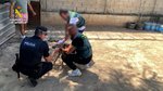 La Guardia Civil detiene a cuatro personas acusadas de robo y maltrato de galgos de competición en Bollullos de la Mitación (Sevilla)