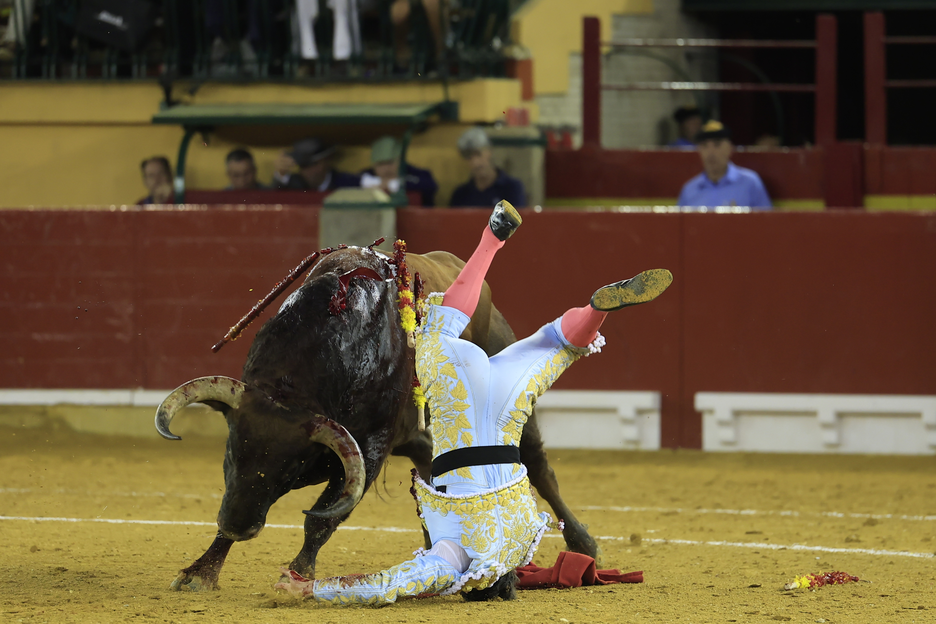 El 'sanatorio de toreros' se vacía: Daniel Luque, David de Miranda y Álvaro Serrano reciben el alta hospitalaria