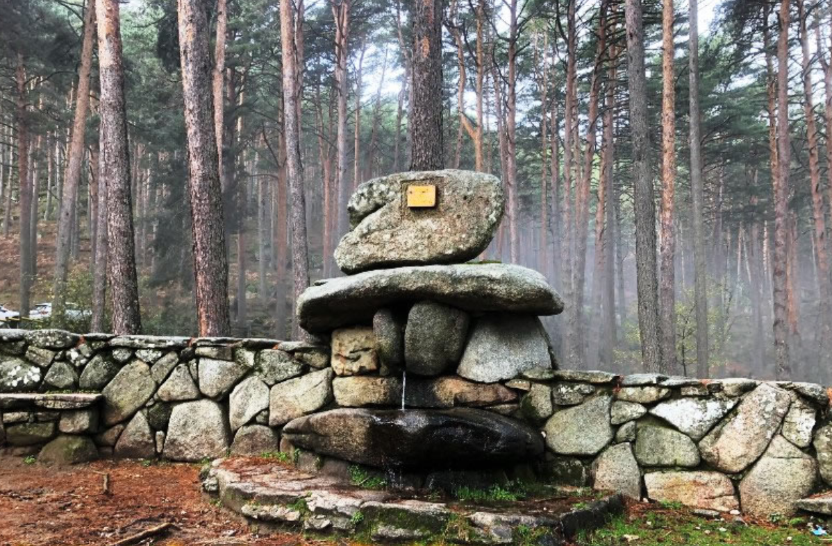 Arrancan las jornadas micológicas en la Sierra de Madrid con visitas guiadas y conferencias