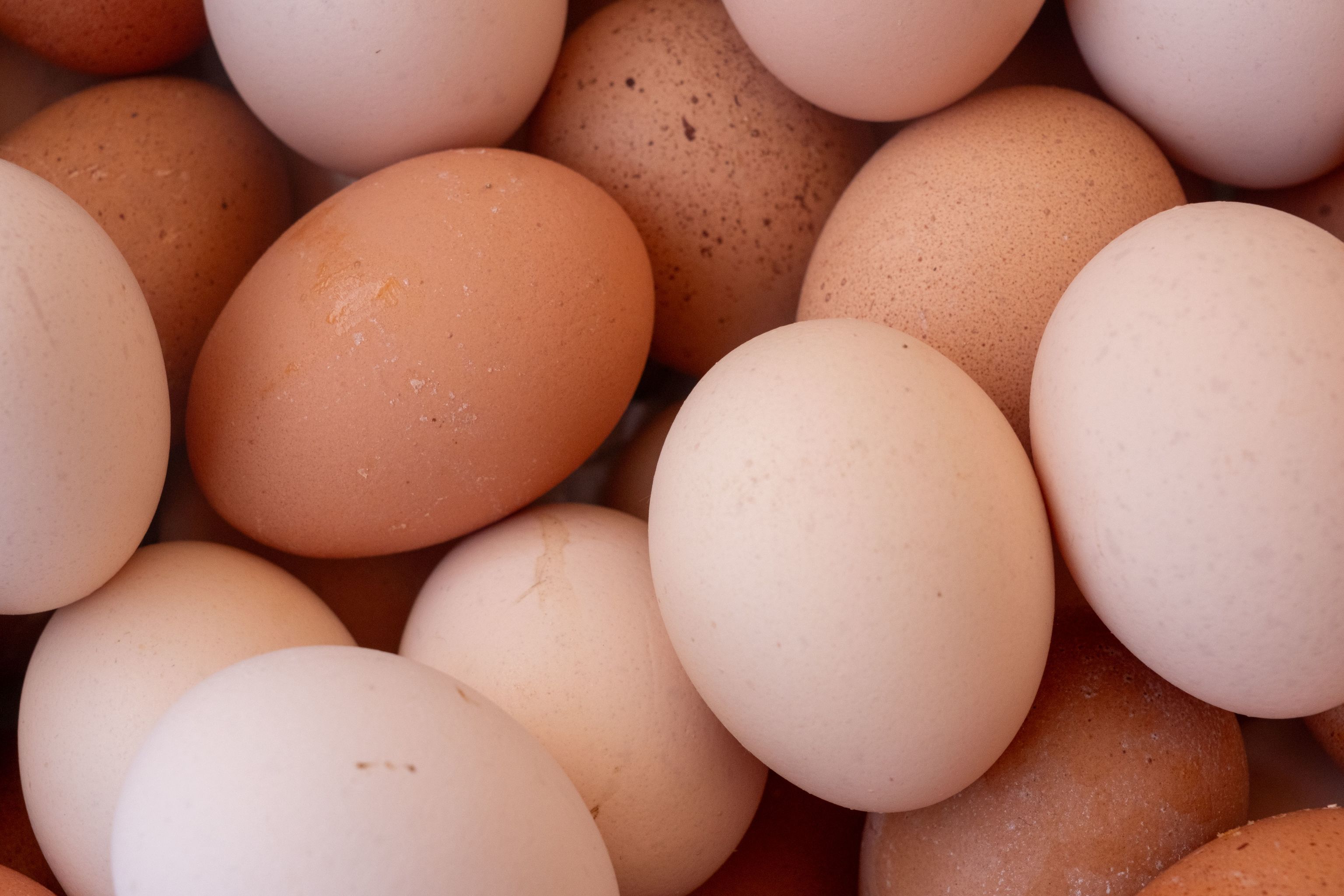 Precio de los huevos desde hoy, lunes, 19 de octubre de 2026, en los supermercados: cuánto cuestan en Mercadona, Carrefour o Alcampo