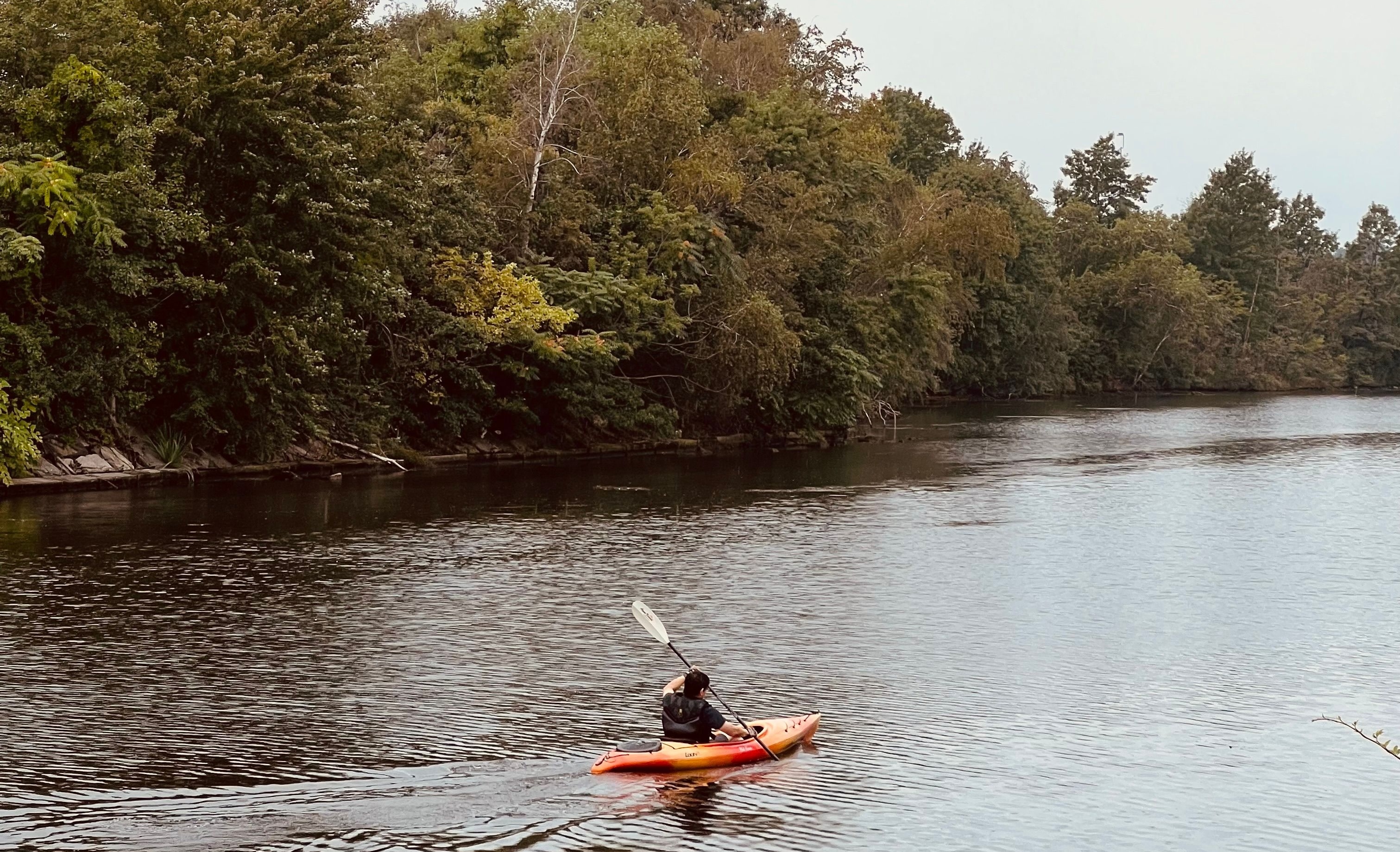 Una escapada de otoño por el 'Amazonas catalán': la ruta en kayak para disfrutar en familia sin experiencia previa