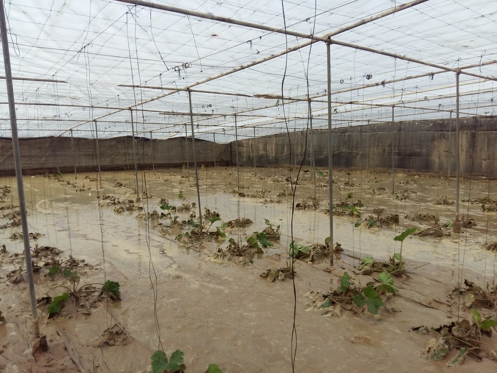 La borrasca Adam causa 600 incidencias en Andalucía, tormentas con granizo y más de 70 litros de lluvia en una hora