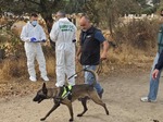 Detenidas cuatro personas por el asesinato de la octogenaria Elia en Galapagar