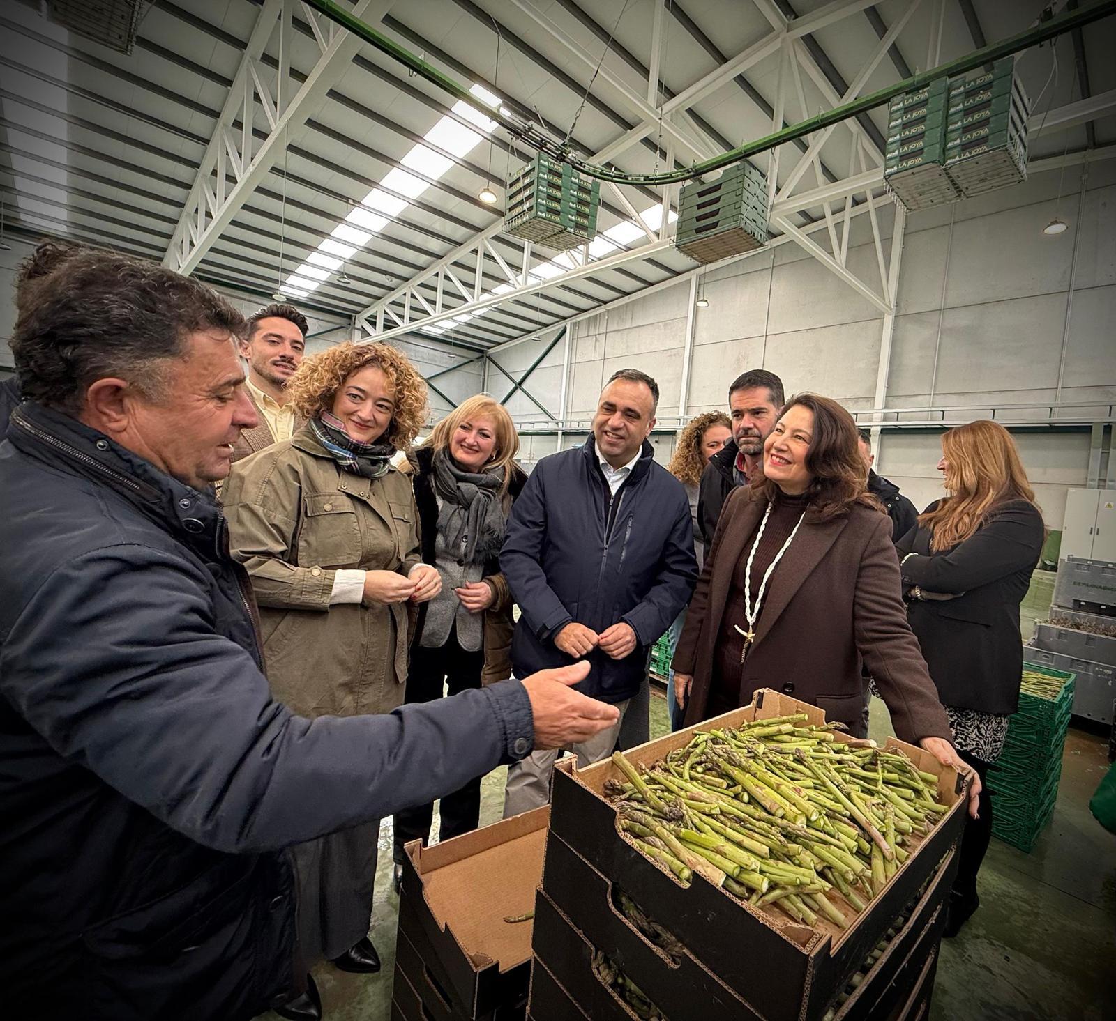 Feijóo mete manos en las listas del PP-A al 29N y coloca a alcaldesas y a la eurodiputada Carmen Crespo junto a Bendodo y Bravo