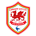 Escudo de Cardiff City