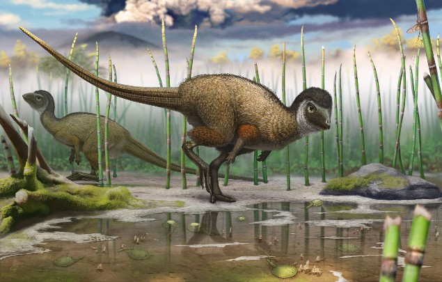 Tenían plumas todos los dinosaurios? | Blogosaurio | Blogs 