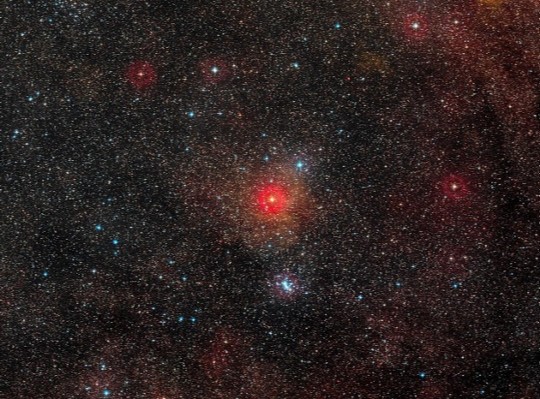 V766 - la estrella hipergigante amarilla HR 5171