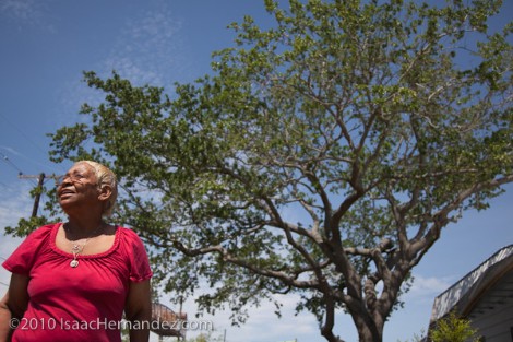 Gloria Guy y el árbol que le salvó la vida. Foto: ©2010 Isaac Hernández