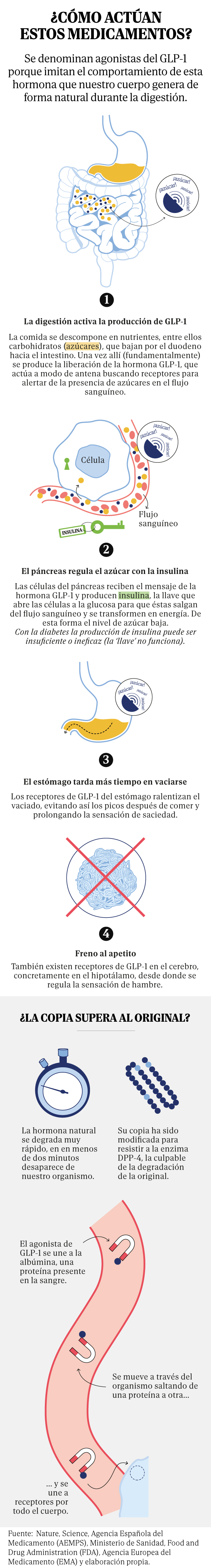 como funciona glp 1 Por Qué No Me el GLP-1: Causas y Soluciones Beneficios de los ar-GLP1 en