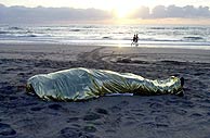 El cadver de un inmigrante yace en una playa espaola. (EFE)