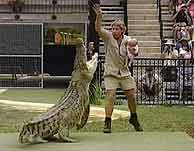 Steve Irwin, con su beb en brazos, y el cocodrilo, en una imagen televisiva. (AP)