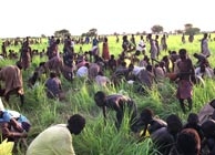 Refugiados sudaneses recogen comida en el Chad. (AP)