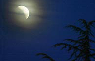 El eclipse de luna, tal como lo vieron en Montpellier (Francia). (AFP)