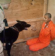 Un prisionero, aterrorizado por un perro en la prisin de Abu Ghraib. (The Washington Post)
