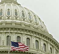 Las banderas en el Capitolio de EEUU ondean a media asta. (AP)