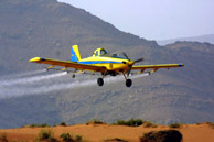 Una avioneta realizando una fumigacin en Marruecos. (AFP)