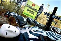 Una imagen de la campaa de Greenpeace en Monzn. (EFE)