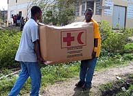 Las ONG se han movilizado para ayudar a los afectados por la tormenta. (COI)