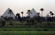 Las tres pirmides de Giza. (Foto: AP)